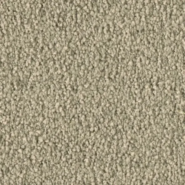 Vorwerk Violetta 8L44 – Draufsicht Teppichboden Farbe 8L44 ohne Badge